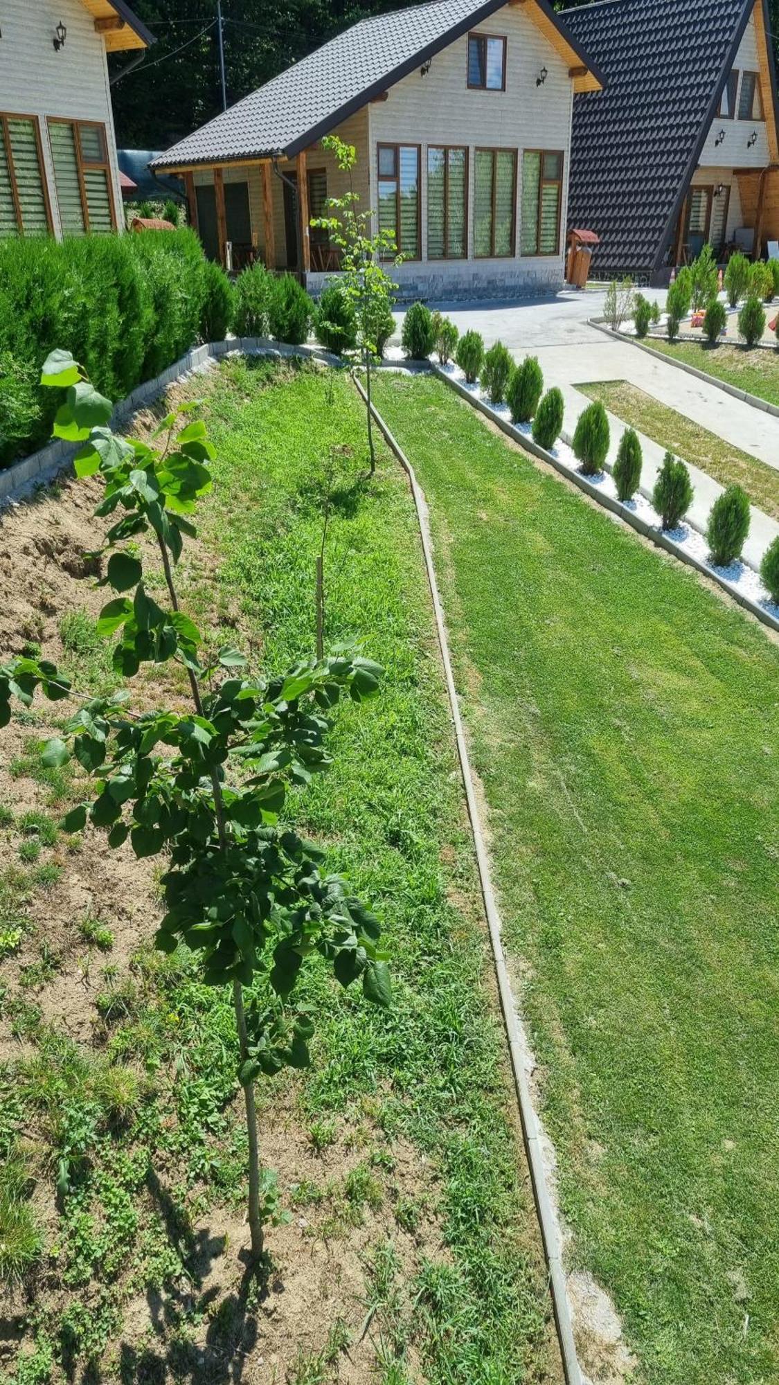 La Maria Si Ioana Apartamento Curtea de Argeş Exterior foto