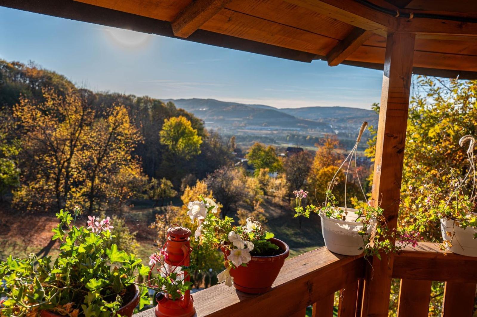 La Maria Si Ioana Apartamento Curtea de Argeş Exterior foto